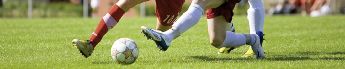 Sommerfest der Eintracht